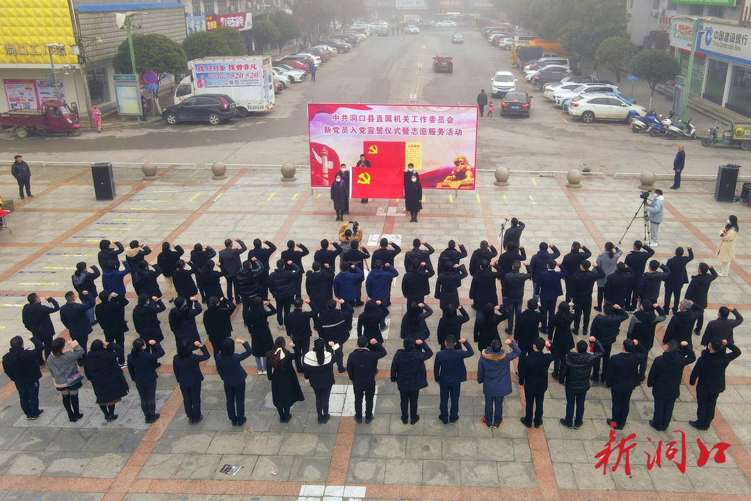 洞口县举行新党员集体宣誓仪式(图1)