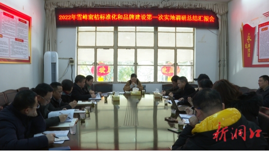 洞口县召开2022年雪峰蜜桔标准化和品牌建设第一次实地调研总结汇报会(图1)