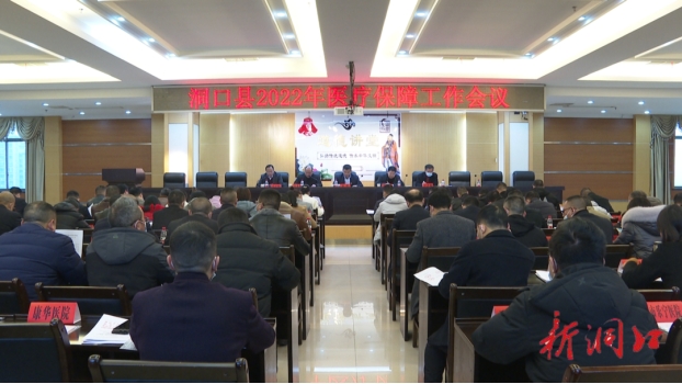 洞口县召开2022年医疗保障工作会议(图1)