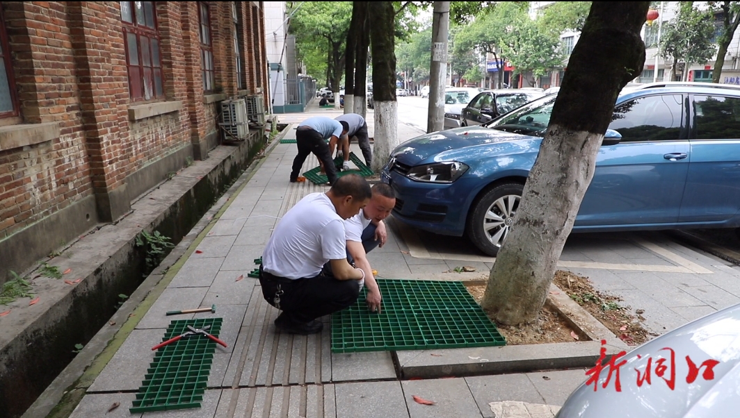洞口县城市管理和综合执法局为行道树安装网格树围(图1)