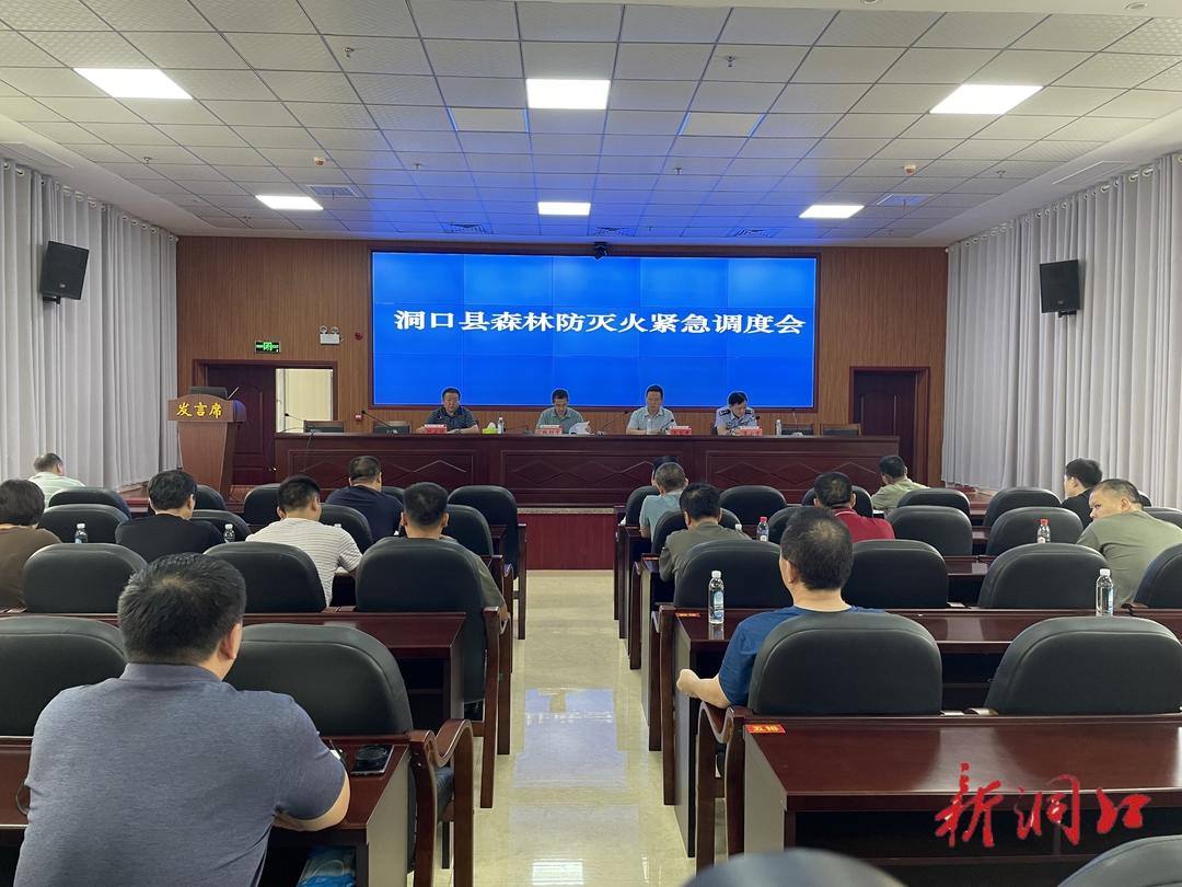 洞口县召开森林防灭火紧急调度会(图1)