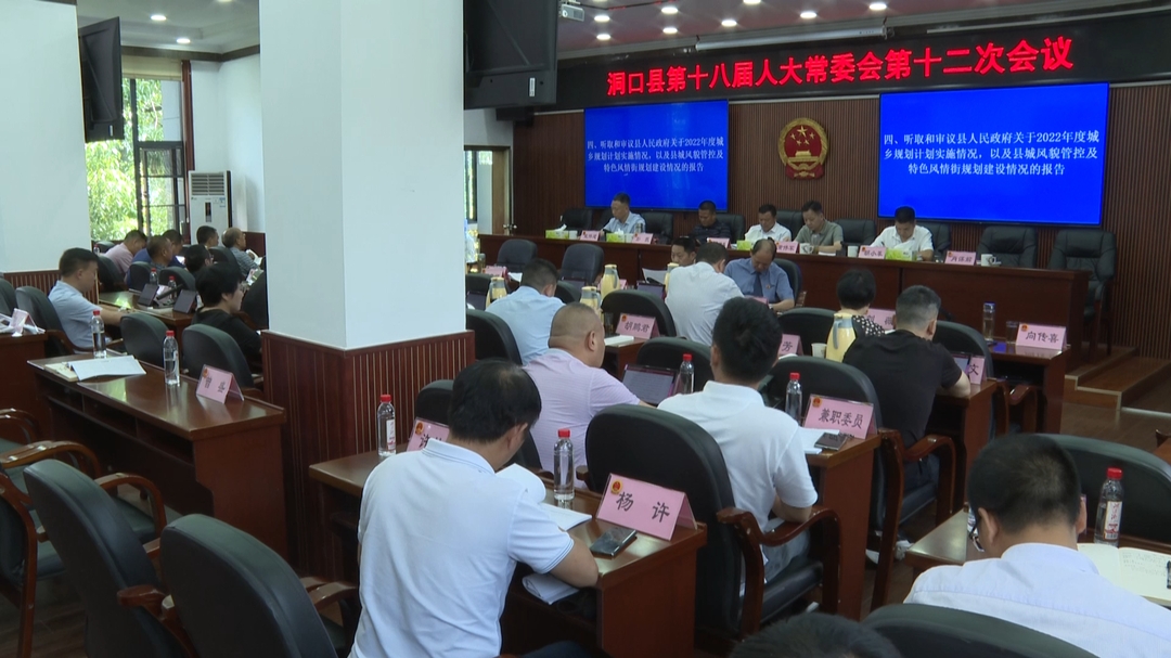 洞口县第十八届人大常委会召开第十二次会议(图3)