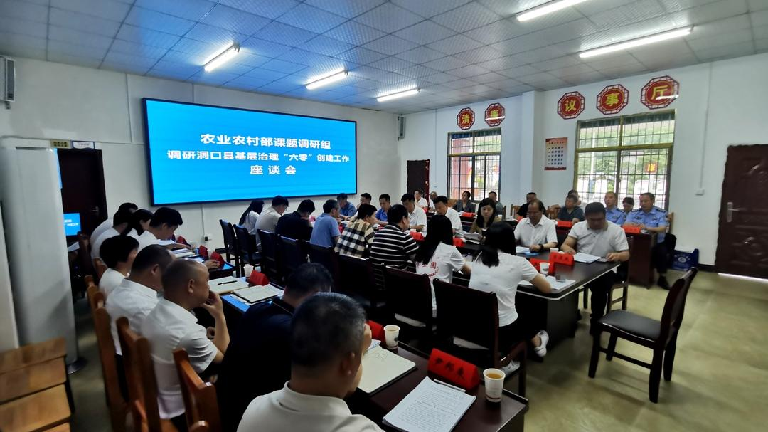 农村农业部课题调研组来洞口县调研基层治理“六零”创建工作(图4)