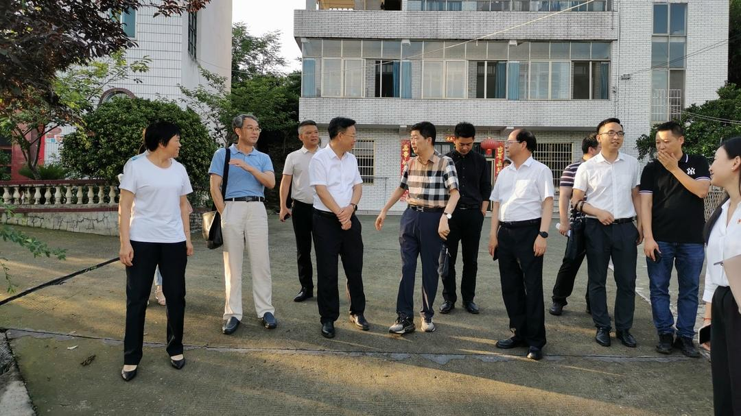 农村农业部课题调研组来洞口县调研基层治理“六零”创建工作(图2)