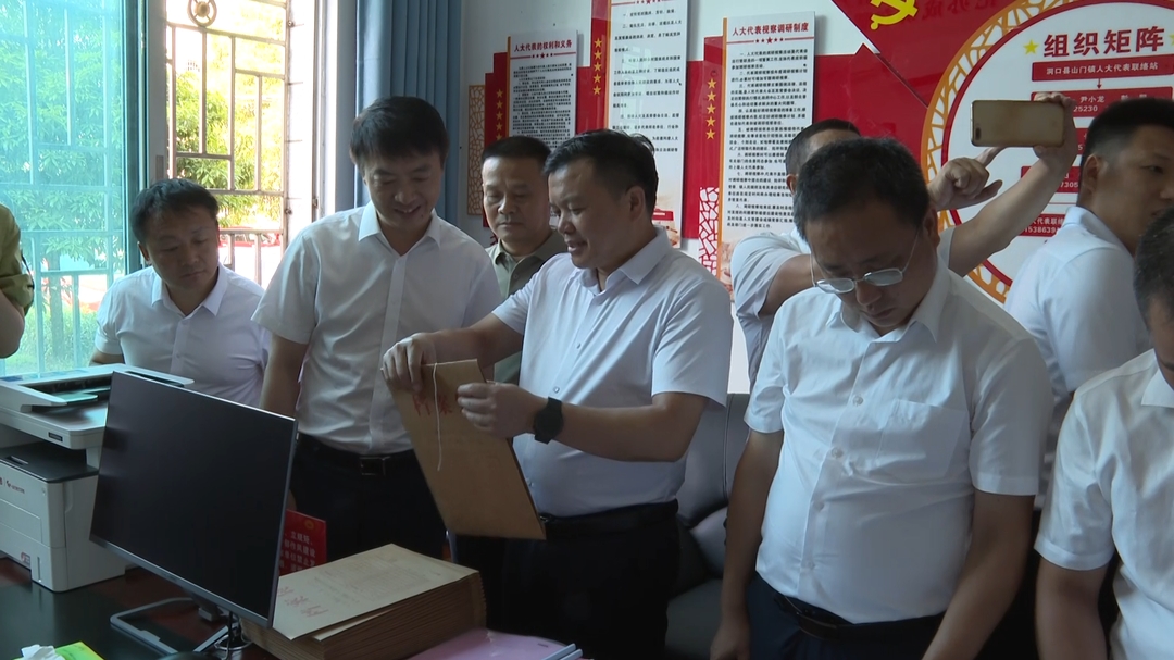 洞口县召开发展全过程人民民主基层平台建设现场推进会(图2)
