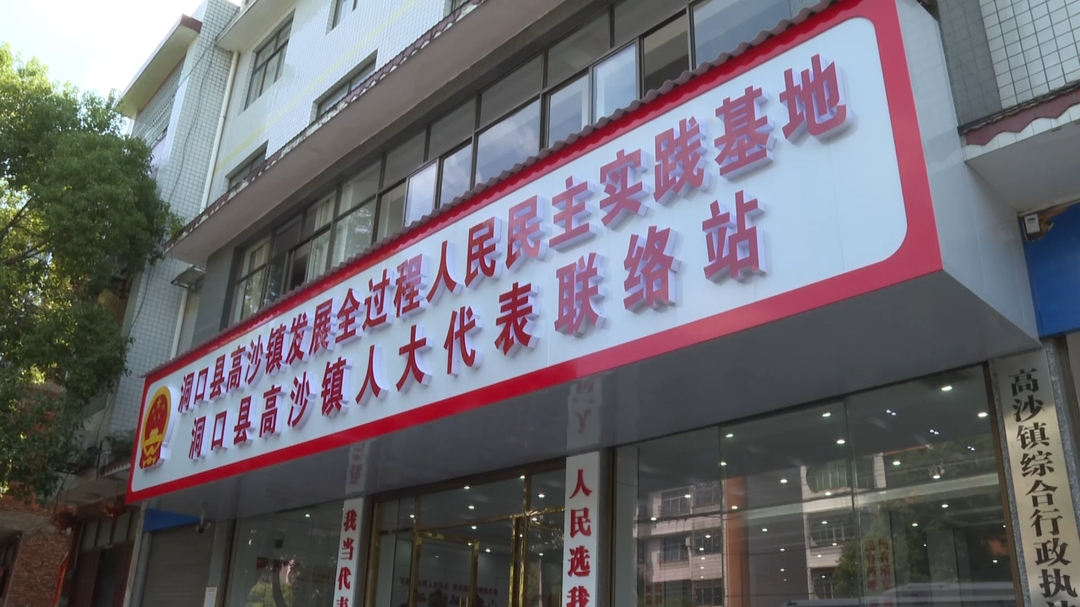 洞口县召开发展全过程人民民主基层平台建设现场推进会(图3)
