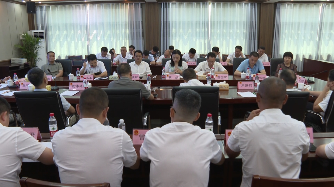 洞口县召开发展全过程人民民主基层平台建设现场推进会(图4)