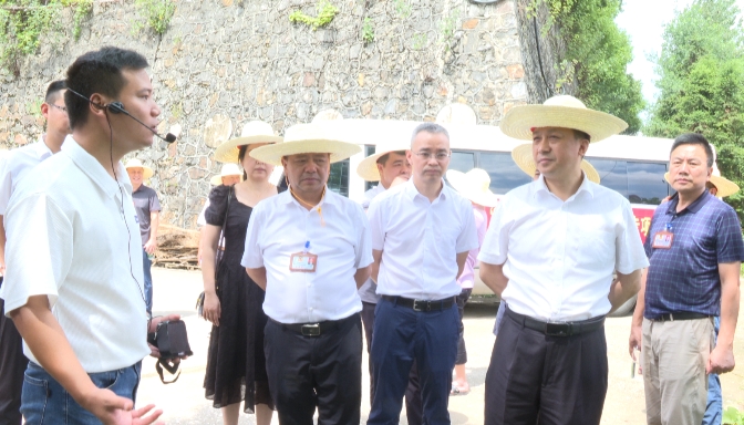 洞口县政协开展改善生态环境“地更净”专项民主监督(图2)