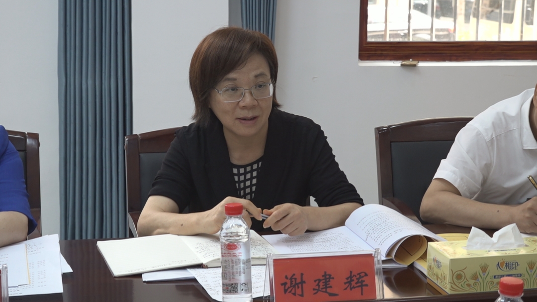 谢建辉率队来洞口县开展下访接访活动(图2)