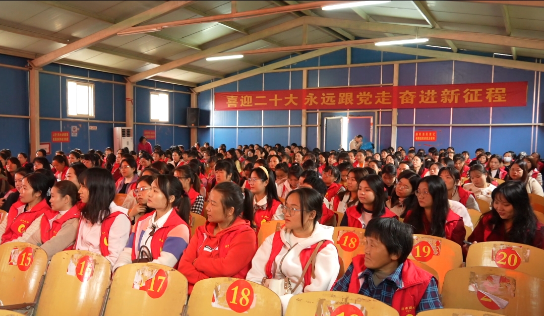洞口县妇联举行村级“洞口妈妈”志愿者培训 同心护蕾护成长(图3)