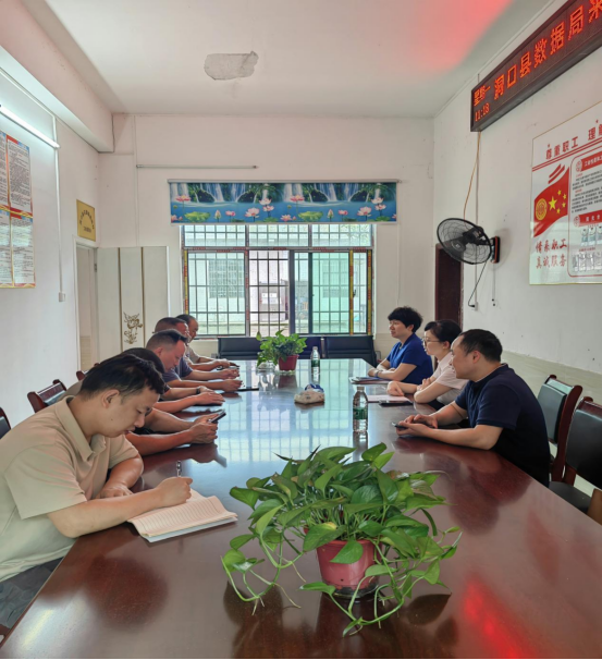 洞口县数据局党组“七一”节赴燕岭村指导灾后重建并慰问困难党员(图1)