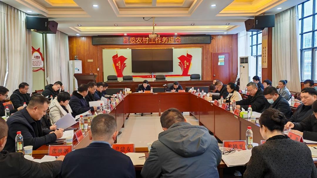洞口县委农村工作务虚会召开(图1)