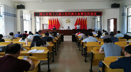 桐山乡召开第十八届人民代表大会第五次会议暨开展农村违法占用耕地建房调研活动(图1)