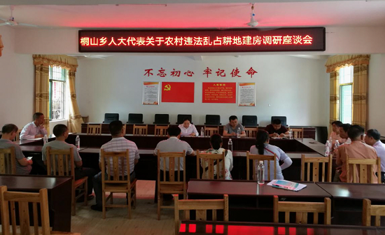 桐山乡召开第十八届人民代表大会第五次会议暨开展农村违法占用耕地建房调研活动(图2)