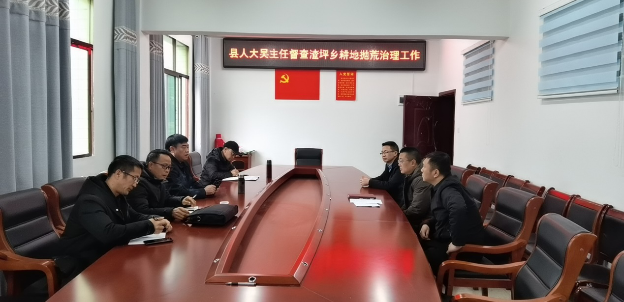 “盘活”抛荒耕地 稳定粮食生产：县人大常委会副主任吴中华督查渣坪乡耕地抛荒治理工作(图1)