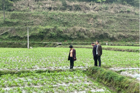 洞口县人大副主任吴华玉指导渣坪乡产业发展、耕地抛荒治理、春耕备耕推进等工作(图2)