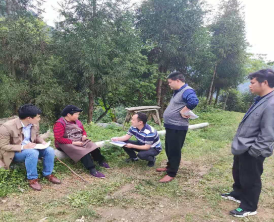洞口县渣坪乡集中干部力量开展民情恳谈走访宣传活动(图3)