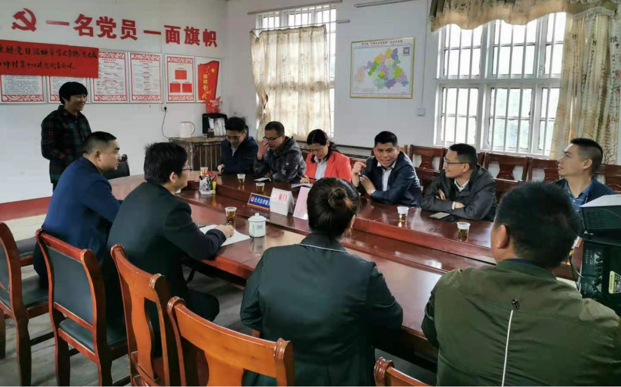 桐山乡新一届党政班子成员赴各村开展调研(图1)