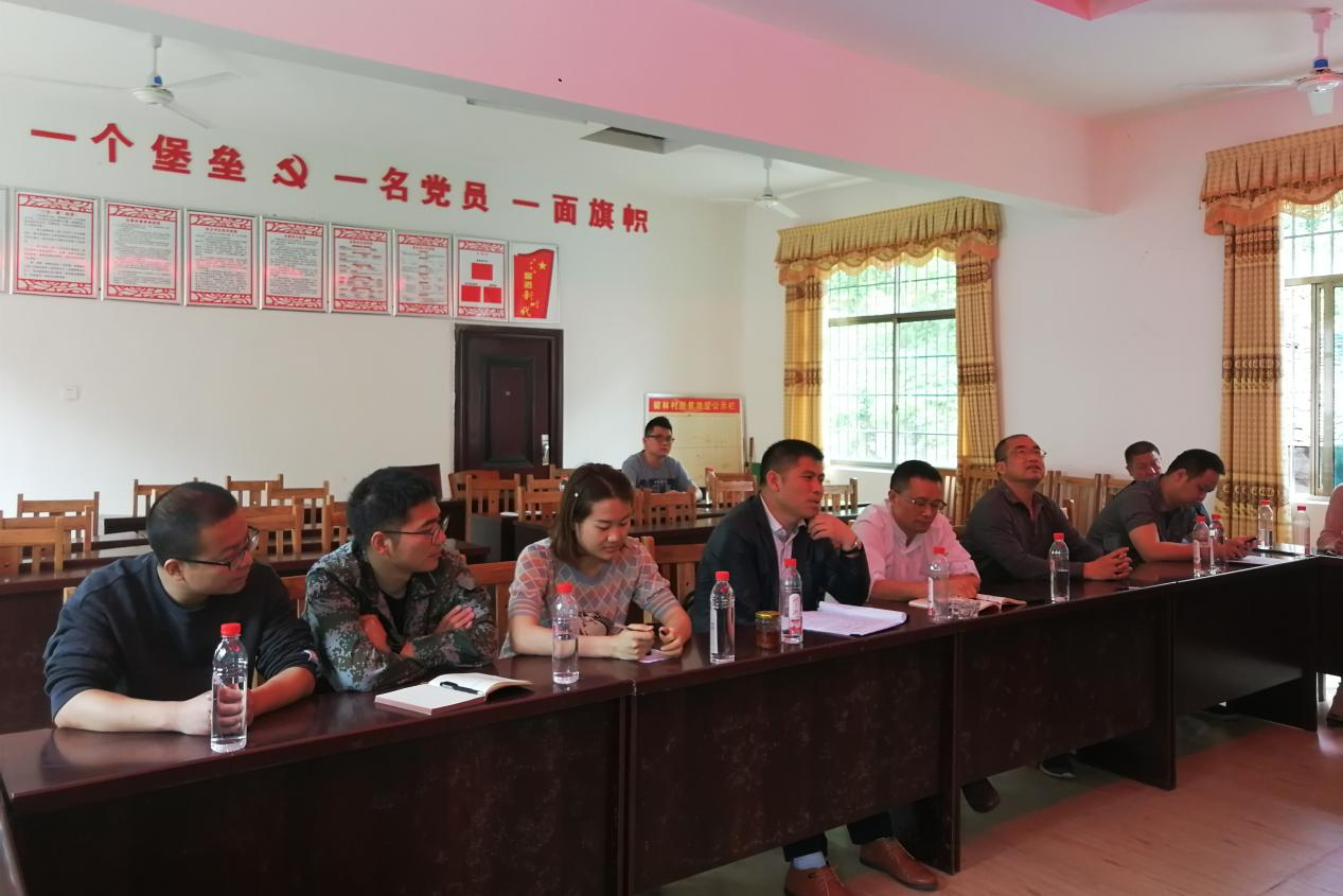 桐山乡党政班子成员赴椒林村召开乡村振兴调研座谈会(图1)