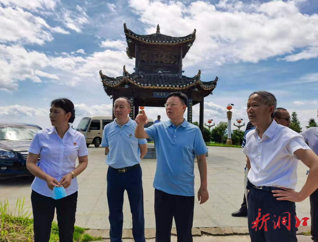 县委书记吴韬调研乡村振兴工作(图2)