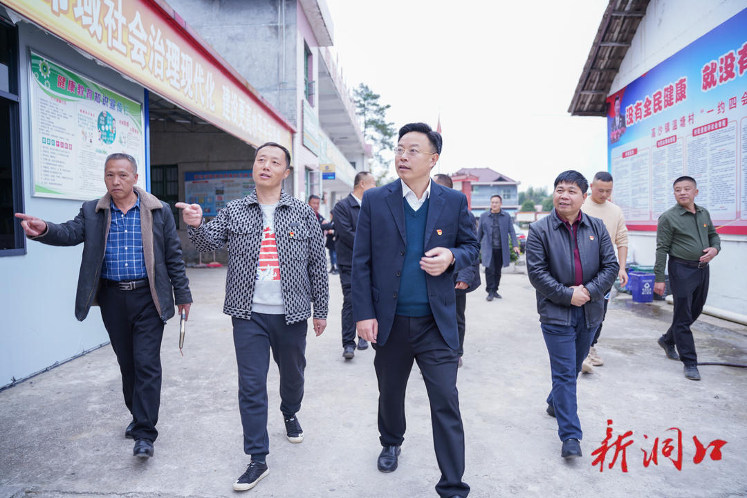 吴韬在高沙镇调研时强调：坚持党建引领 统筹推进“七大行动” 打造乡村振兴高沙样板(图2)