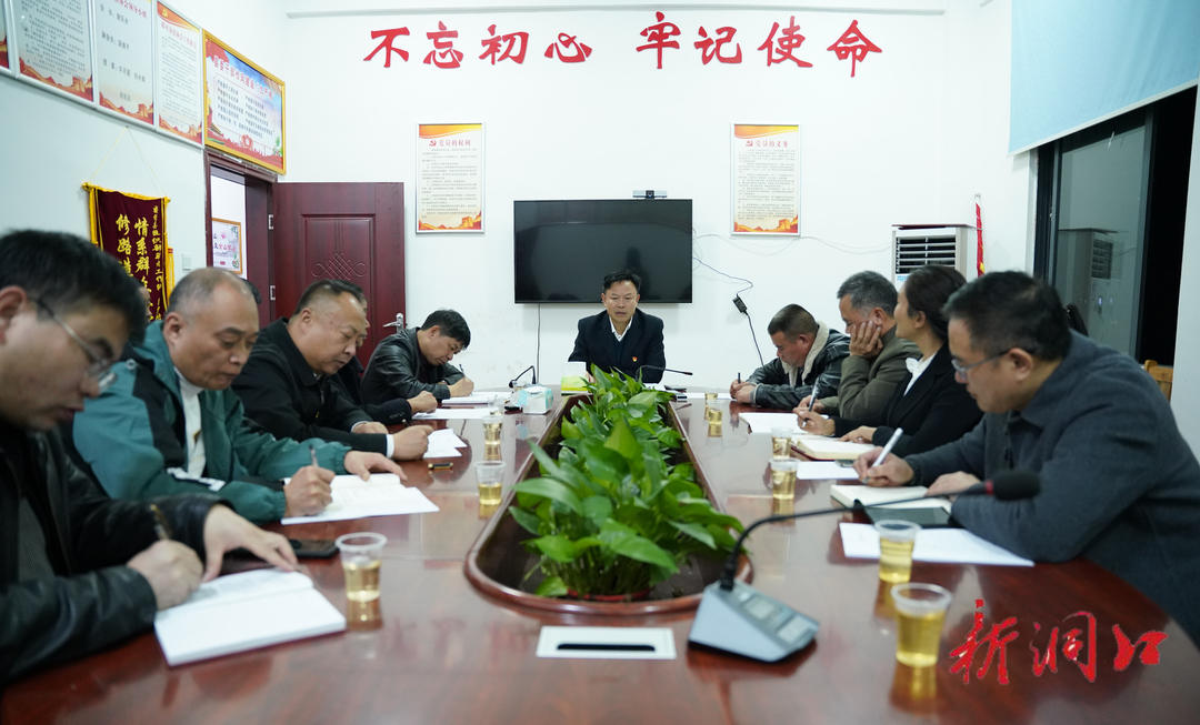 吴韬在高沙镇调研时强调：坚持党建引领 统筹推进“七大行动” 打造乡村振兴高沙样板(图1)