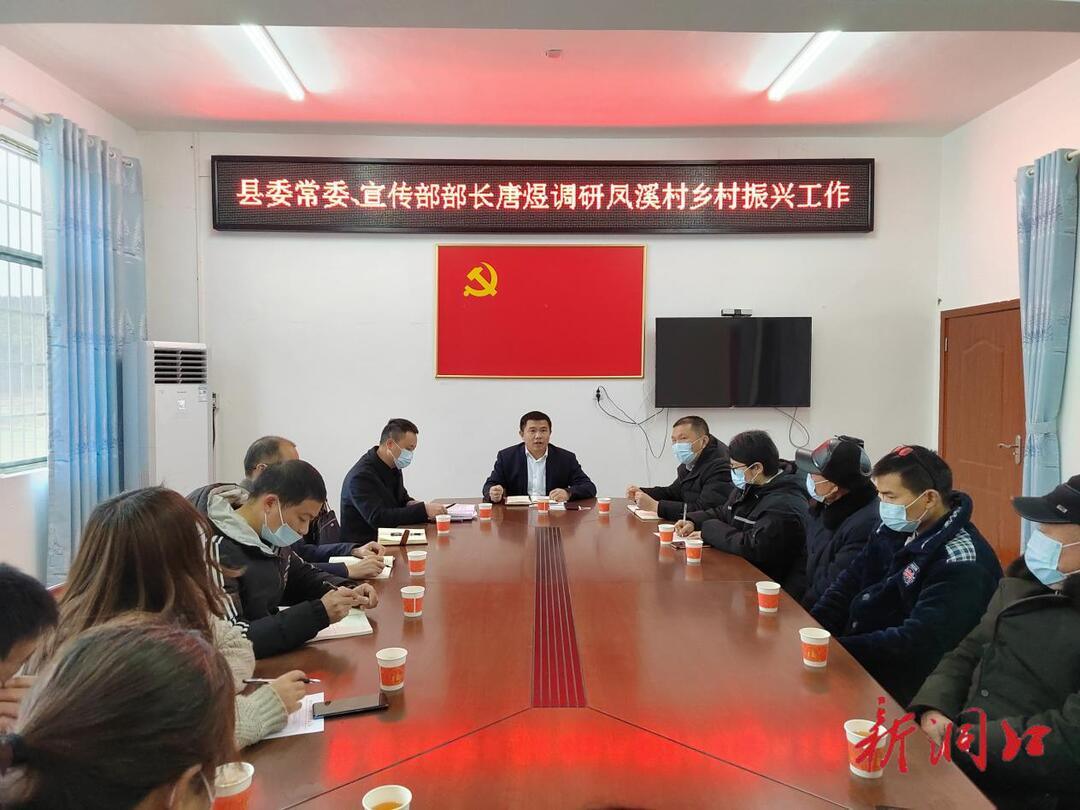 唐煜调研毓兰镇凤溪村乡村振兴工作(图1)