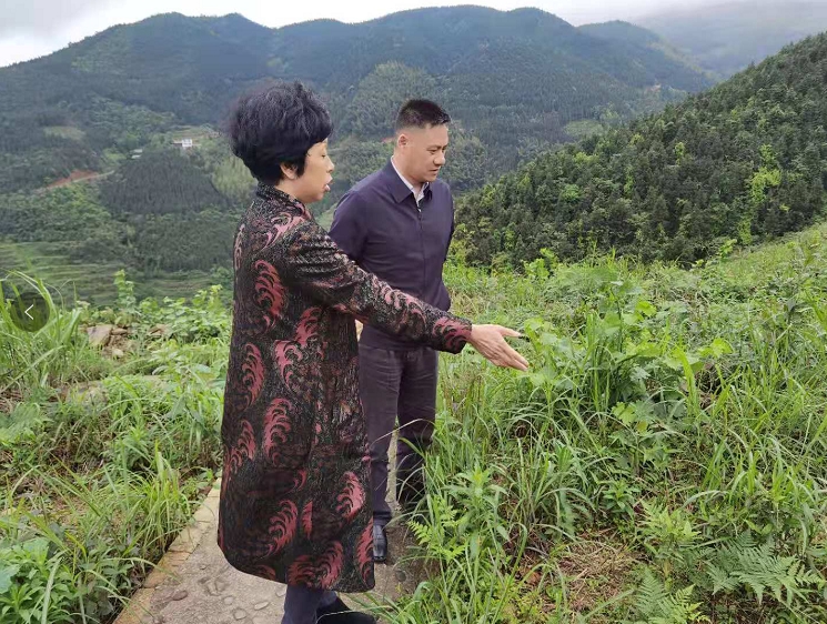 “走进侨企，温暖侨心”——县委统战部深入侨企走访调研(图1)
