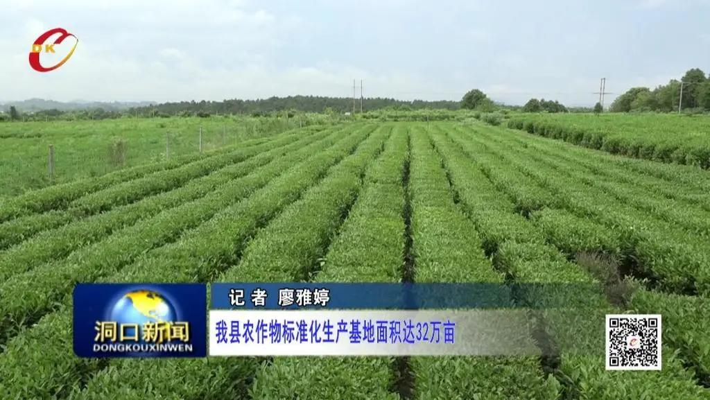 洞口县农作物标准化生产基地面积达32万亩(图1)