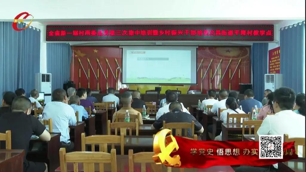 《党史学习教育》洞口县新一届村（社区）“两委”成员和乡村振兴驻村干部一万余人集中“充电”(图1)