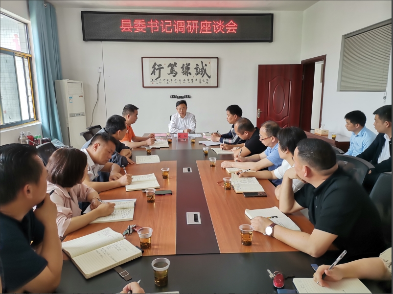 洞口县委书记吴韬到岩山镇调研工作(图1)