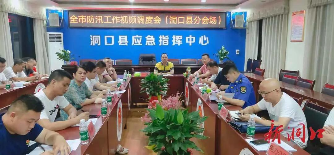 洞口县组织收看收听全市防汛工作视频调度会(图1)