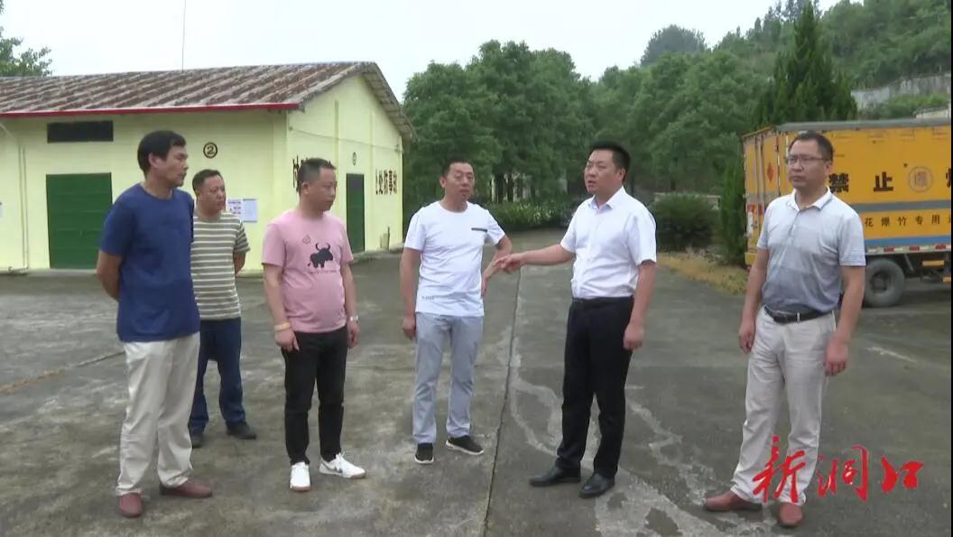 杨云龙端午节前督查安全生产工作(图1)
