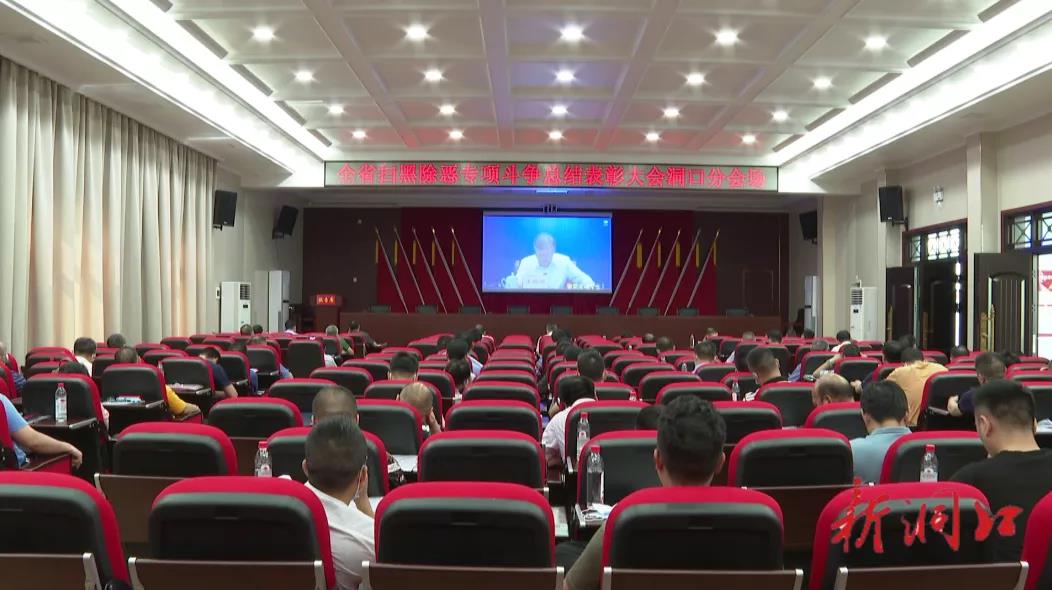 洞口县组织收听收看全省扫黑除恶专项斗争总结表彰大会(图1)