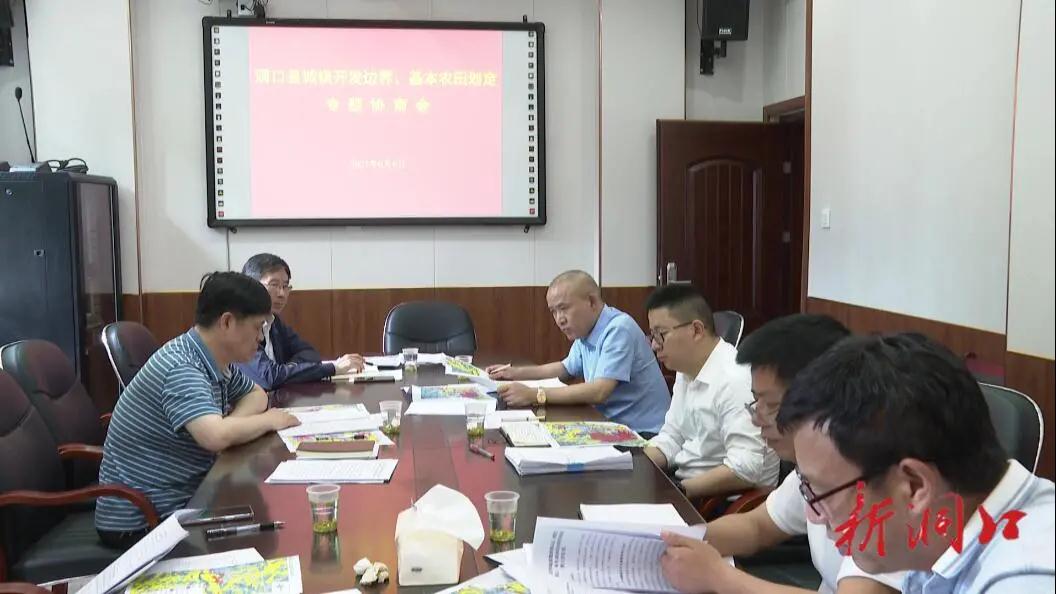 洞口县召开城镇开发边界、基本农田划定专题协商会(图1)