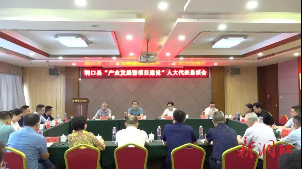 洞口县召开“产业发展暨项目建设”人大代表恳谈会(图1)