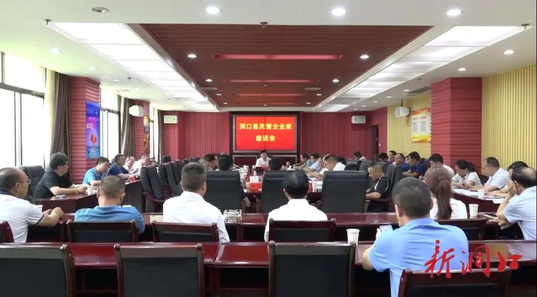 洞口县召开民营企业家座谈会(图1)
