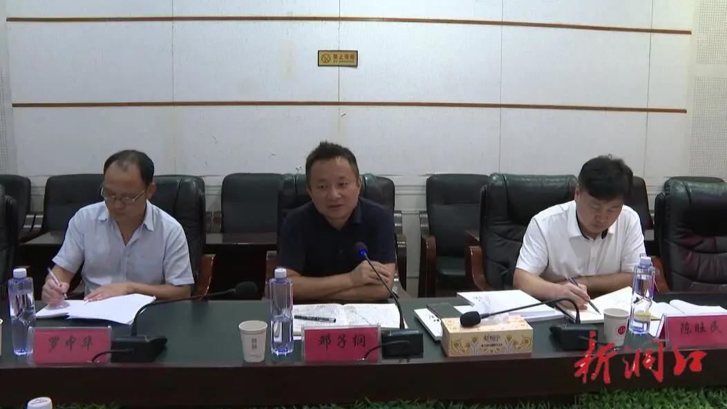 洞口县召开高质量发展专家座谈会(图1)