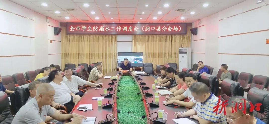 洞口县组织收看全市学生防溺水工作调度会(图1)