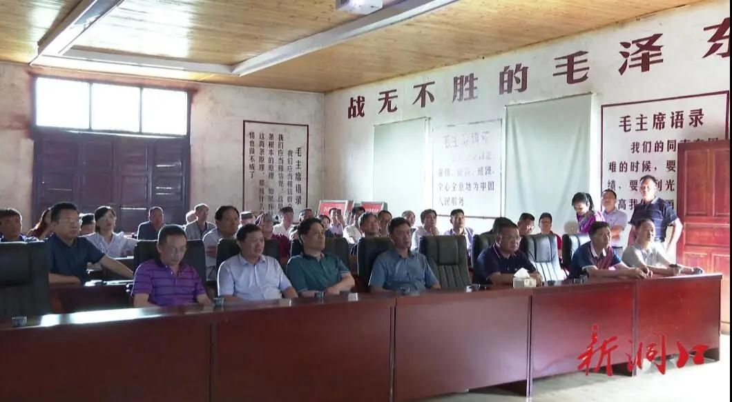 毛学雄率市政协委员来洞口县开展“助力乡村振兴 建设美丽乡村”专题视察(图2)