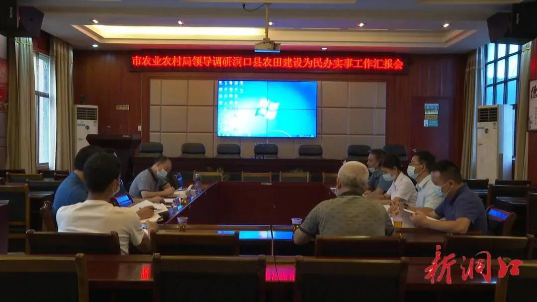 市农业农村局调研洞口县高标准农田建设项目(图1)