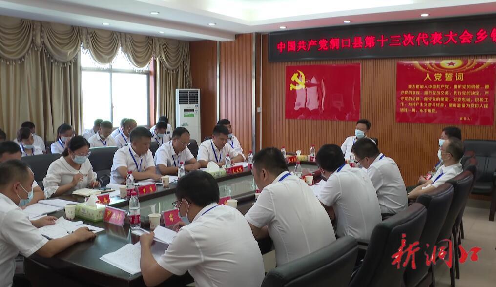 吴韬参加中国共产党洞口县第十三次代表大会分团讨论(图1)