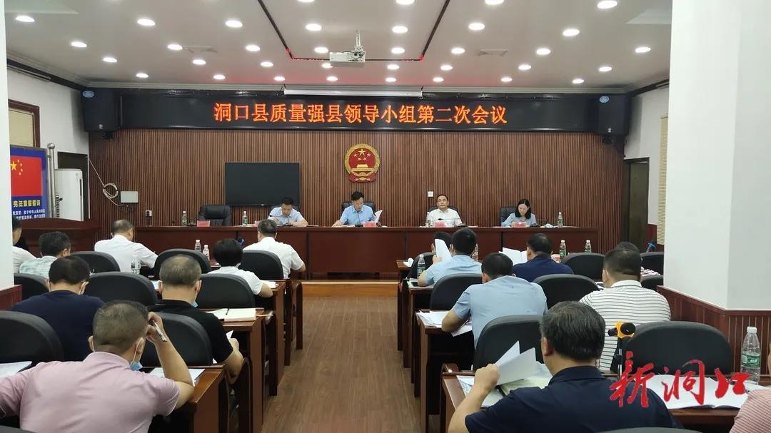 洞口县召开质量强县领导小组第二次会议(图1)