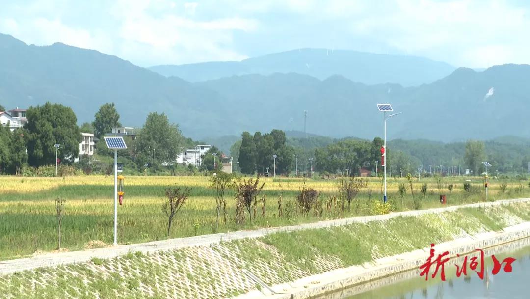 洞口县大力实施高标准农田建设 打造“丰产粮仓”(图3)