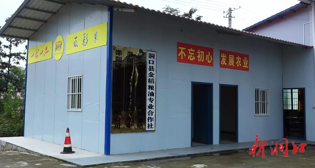 洞口县上千合作社勇挑乡村振兴大梁(图1)