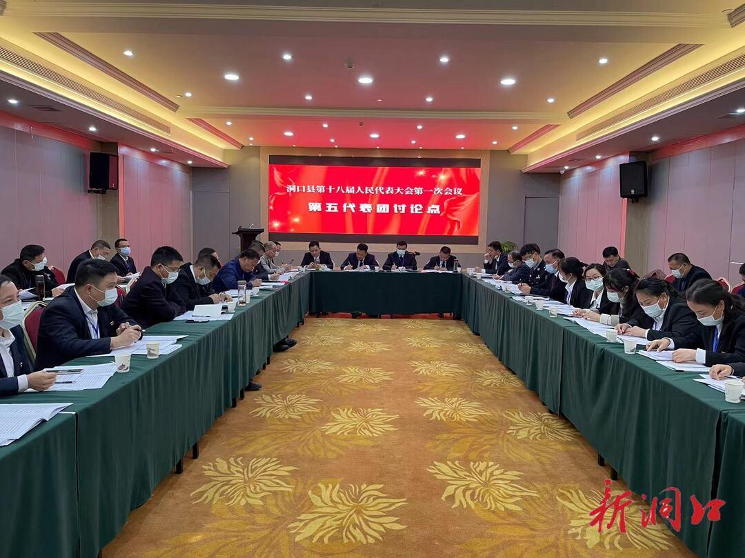 欧阳佑春参加洞口县第十八届人民代表大会第一次会议第五代表团讨论(图1)