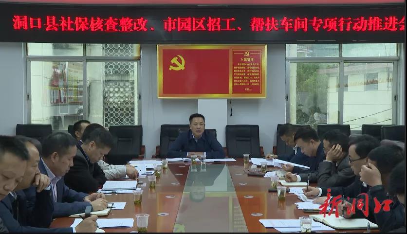 杨云龙组织召开洞口县社保核查整改、市园区招工、帮扶车间专项行动推进会(图1)