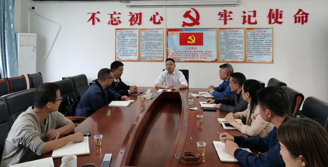 县委常委、组织部长罗颢到桐山乡指导工作(图1)