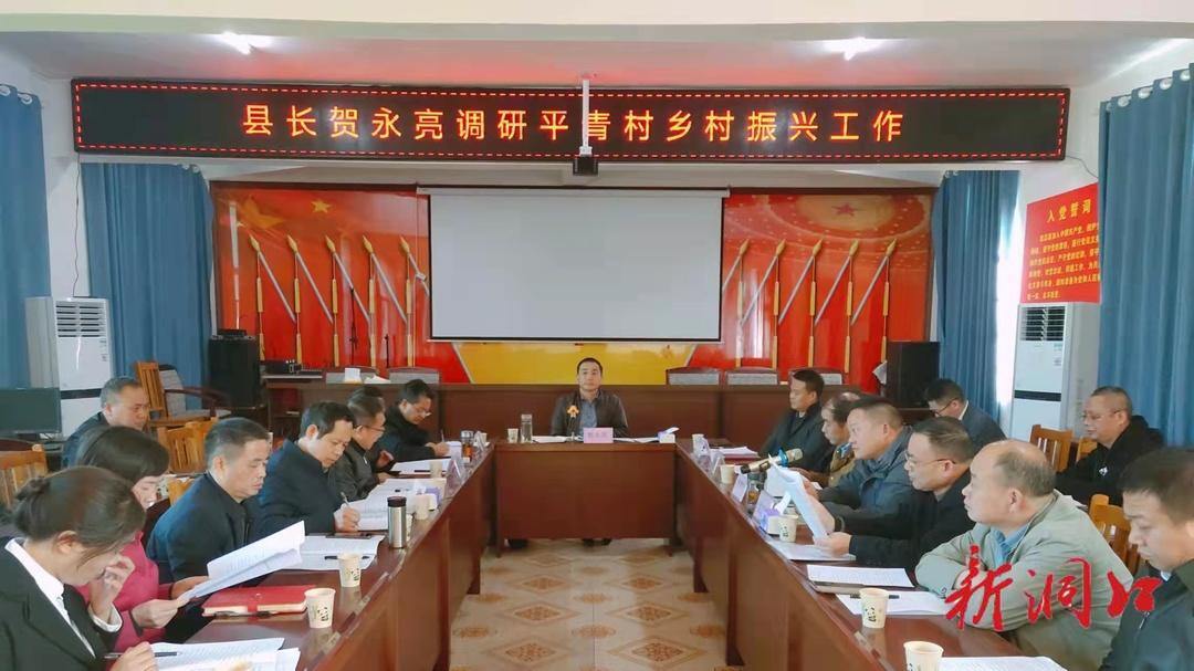 贺永亮调研文昌街道平青村乡村振兴工作(图1)