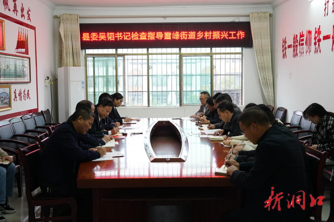 吴韬调研雪峰街道乡村振兴工作强调：以更严作风 更实责任 做好乡村振兴工作(图1)